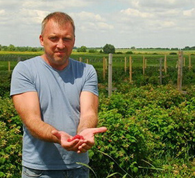 Трегубов и Ко